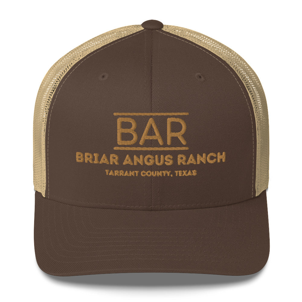 BAR Brand Trucker Hat in Brown